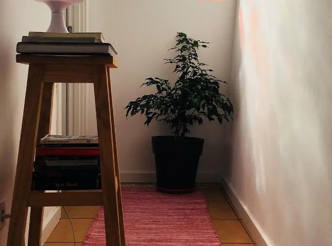 Casa Da Pedra - Aljezur, Always The Sun 펜션 *