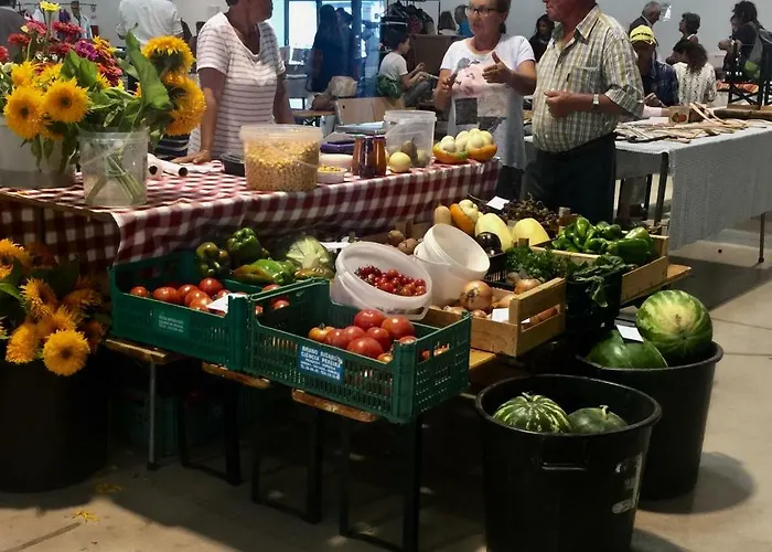 Casa Da Pedra - Aljezur, Always The Sun 알제주르