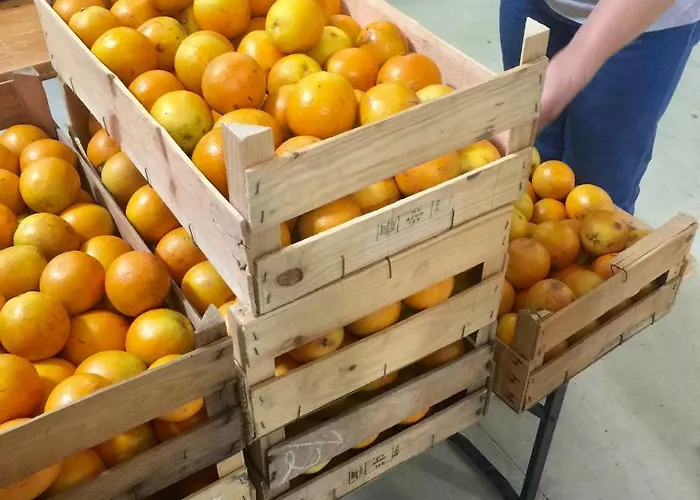 Casa Da Pedra - Aljezur, Always The Sun * 알제주르