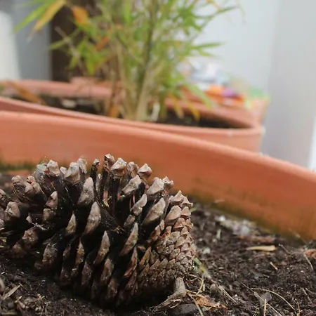 Casa Da Pedra - Aljezur, Always The Sun Holiday home Aljezur