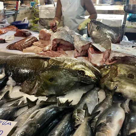 Holiday home Casa Da Pedra - Aljezur, Always The Sun