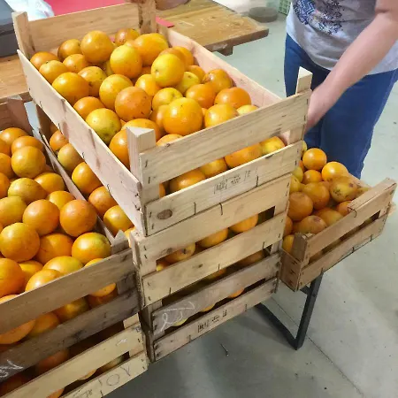 Casa Da Pedra - Aljezur, Always The Sun * Aljezur