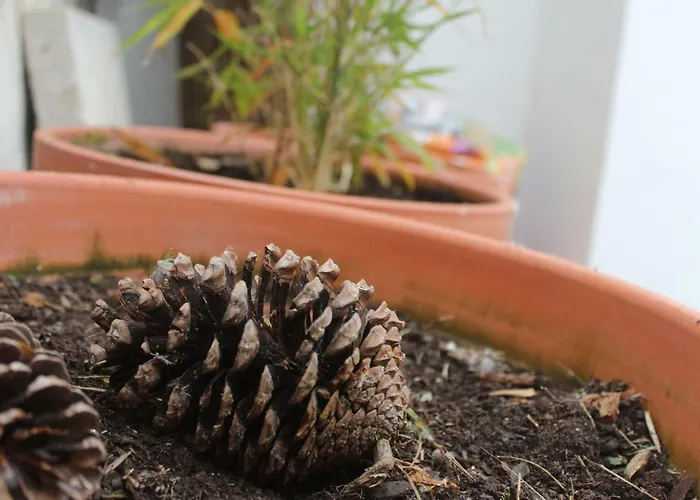 Casa Da Pedra - Aljezur, Always The Sun Сasa de vacaciones Aljezur