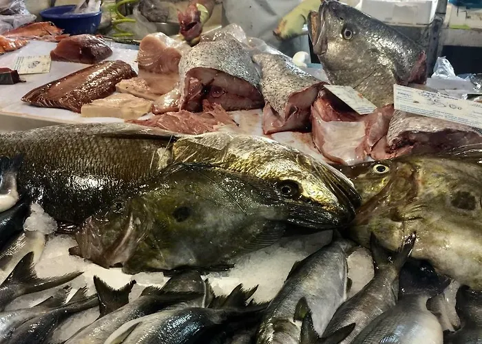 بيت للعطل Casa Da Pedra - Aljezur, Always The Sun